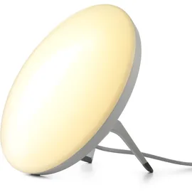 Fysic Tageslichtlampe FW-450 (10000 lx)