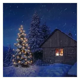 rotpfeil außen LED-Außenlichterkette 30er 2er LED Ausführung E14