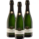 Oberkircher Winzer Riesling Sekt brut - 1. PLATZ 2025 TopTen Riesling Dollenberg - COLLECTION OBERKIRCH Exklusiv - hochwertiger und eleganter Winzersekt aus der Ortenau (3 x 0,75 l)