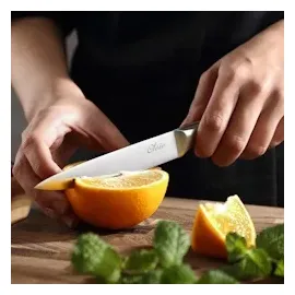 OLEIO Maestro Messerblock – 6 teilig – Edelstahl Küchenmesser Set mit Block & integriertem Messerschärfer – Scharfes Küchenhelfer Set für alle Schnitte – Messerblock mit Messer