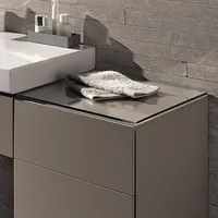 Geberit Glasablage 500523001 45 x 8 x 45 cm