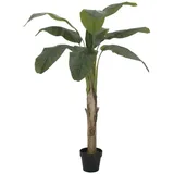 Europalms Bananenbaum, 145cm