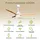 Eclipse Airora 0 cm Deckenventilator Holz