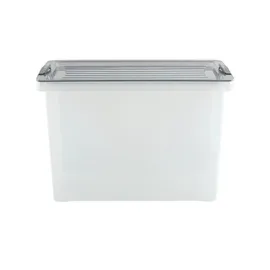 Rotho Compact Aufbewahrungsbox 39,5 x 27,5 x 27 cm 1-tlg. grau/transparent