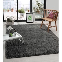 the carpet Green Velvet Wohnzimmer Öko Teppich, Hochflor besteht aus 100% recyceltem Polyester, Langflor, Luxuriöse Felloptik, Kuschelig Weich, Anthrazit, 120 x 170 cm