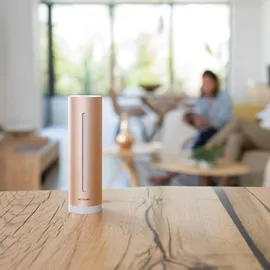 Netatmo Smarter Raumluftsensor Rosa