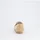 Paul Green 1137 Damen Beige 40