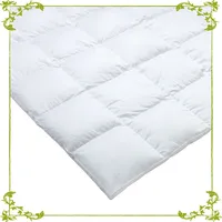 Traumina Silk De Luxe Daune Kassettendecke WK 4 (Größe: 240x220 cm*)