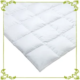 Traumina Silk De Luxe Daune Kassettendecke WK 4 (Größe: 240x220 cm*)