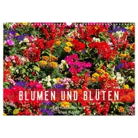 Calvendo Blumen und Blüten (Wandkalender 2026 DIN A3 quer),