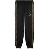 Puma King Anthem Herren Fußballhose, schwarz - PUMA black/PUMA gold L