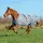 Bucas Smartex Turnout Extra Classic 300g 145 cm Grau