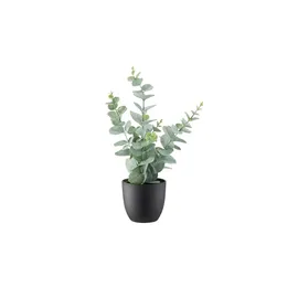 Möbel Kraft Eukalyptus getopft ¦ grün ¦ Kunststoff ¦ Maße (cm): H: 38