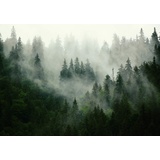 Fototapete Consalnet Fototapete Bäume-Nebel 416 x 254 cm, Vlies)