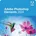 Adobe Photoshop Elements 2024