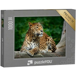 puzzleYOU Puzzle Puzzle 1000 Teile XXL „Leopard im Yala-Nationalpark, Sri Lanka“, 1000 Puzzleteile, puzzleYOU-Kollektionen Leoparden, Tiere in Dschungel & Regenwald