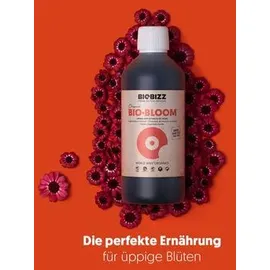 biobizz® Flüssigdünger Starter-Set 5-teilig