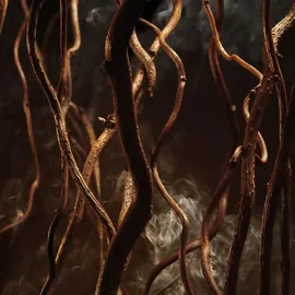 HUGO BOSS Boss Bottled Elixir Parfum 50 ml