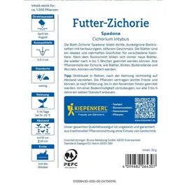 Kiepenkerl Gründünger Futter-zichorie Spadona Vorteilspackung für ca. 1000 Pflanzen