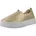 TULIP3577 Gold 36