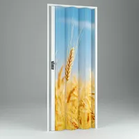 Innenraum Falttür Digitaldruck In Pvc Mod. Vera 102x214 Cm Grain