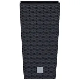 Prosperplast Rato Square 22,5 x 22,5 x 42,1 cm anthrazit