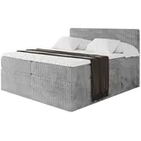 altdecor Boxspringbett mit Matratze H3|H4 und Lattenrost - TOLO KING 160x200 Cord - Hellgrau