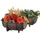 Hti-Living Nessa 41,5 x 29 x 19 cm Braun Komplettset