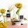 Phyto Couleur Color Extension Mask 200 ml