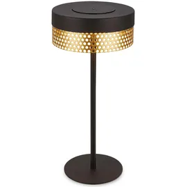 Briloner Booha Schwarz-Gold