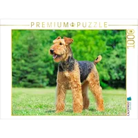 Calvendo Puzzle EIN schönes Mädchen 1000 Teile Puzzle quer