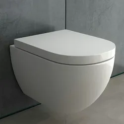 Alpenberger Wand WC Komplettset mit Geberit Spülkasten Betätigungsplatte und Bausatz | Spülrandlose Toilette Hänge WC | Vorwandelement WC Set Komplett