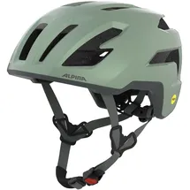 Alpina Taunus Gravel MIPS 52-56 cm Herren willow-green matt 2025