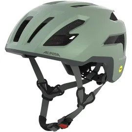 Alpina Taunus Gravel MIPS 52-56 cm Herren willow-green matt 2025