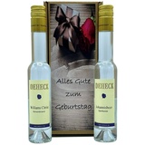 Geschenkset "Geburtstag"  Williams Christ und Johannisbeere 2x0,1l