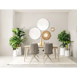 BIZZOTTO Esstisch Sahana 173 x 90 x 76 cm Tischplatte und Beine aus Mango-Holz natur, 173x90 für 4–6 Personen