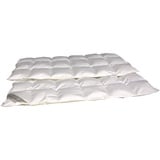 Betten Hofmann Premium Daunendecke Daunenbett 6x8, 135x200 cm