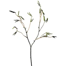 creativ home Künstlicher BIRKENZWEIG Birke-Zweig mit Birken-Kätzchen. Kunstpflanze, Kunstblume. ca 53cm. GRÜN