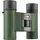 Kowa SV II 10x25 Grün