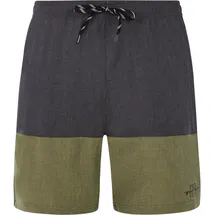 Protest Badeshorts Freddie Grün XXL