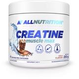 ALLNUTRITION Creatine Muscle Max Nahrungsergänzungsmittel - Creatin Monohydrat mit Taurin - Leistungssteigerung und Muskelaufbau - ohne Zuckerzusatz - Instantpulver 250g - Cola