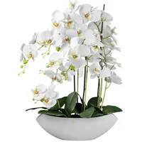 P & B Kunstpflanze Orchideen Weiß/Grün