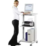 Twinco PC-Arbeitstisch 118 cm lichtgrau