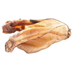 mascota vital - Rinderohren mit Muschel 2 St