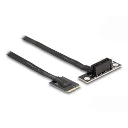 Delock Schnittstellenadapter - PCIe 4.0 x1 (NVMe)