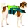 Jobe Hunde-schwimmweste Lime/Teal XS