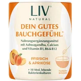 LIV Darmkur Pfirsich Aprikose Pulver 120 g