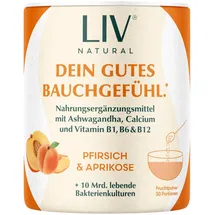 LIV Darmkur Pfirsich Aprikose Pulver 120 g