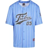 FUBU T-Shirt "Fubu Herren", Herren, Gr. XXS, light blau, weiß, 100% Polyester, bedruckt, loose fit, V-Ausschnitt, Shirts T-Shirt