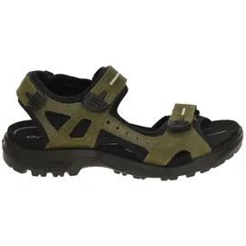 ECCO Offroad Herren braun 44